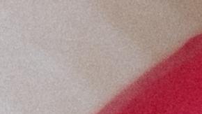 Dia Nacional de la Dona