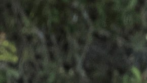 2022 Ford Maverick 2L-EcoBoost AWD Lariat. Preproduction vehicle with optional equipment shown. Available fall 2021.