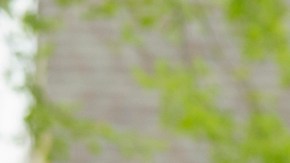 Family shaking hands with realtor at new house