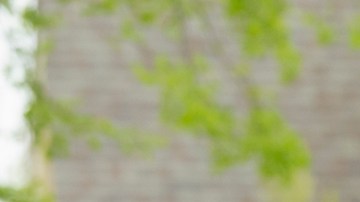 Family shaking hands with realtor at new house