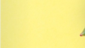 MoneyCard (1)
