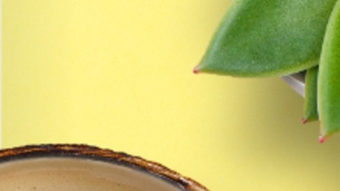 MoneyCard (1)