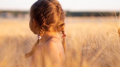 Crédito Tributario por Hijos