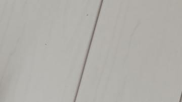 Multas por no declarar impuestos