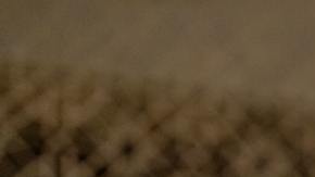 Feria del empleo en California