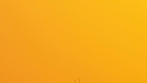 GettyImages-1197479288