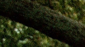 Estudiantes latinos en EE.UU.