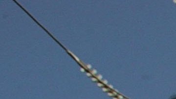 Empleados latinos en EE.UU.