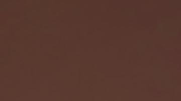 Anciano contando dinero