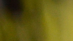 SURFSIDE, FLORIDA - JULY 03: Florida Gov. Ron DeSantis speaks to the media about the 12-story Champlain Towers South condo building that partially collapsed on July 03, 2021 in Surfside, Florida. Over one hundred people are being reported as missing as the search-and-rescue effort continues. (Photo by Michael Reaves/Getty Images)