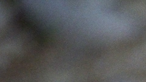 Crédito Tributario por Hijos