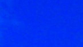 Disney está constantemente buscando personal para sus complejos.