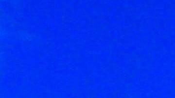 Disney está constantemente buscando personal para sus complejos.