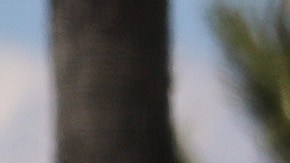 Segundo cheque de estímulo en California