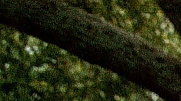 Niños hispanos en EE.UU.