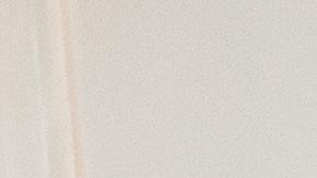 Trabajador de servicio