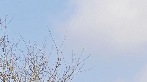 Propietarios de vehículos pesados: ISR anuncia que se termina el tiempo para la declaración de impuestos sobre uso de carreteras 