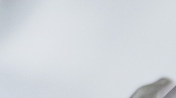 Vacuna contra el Covid-19