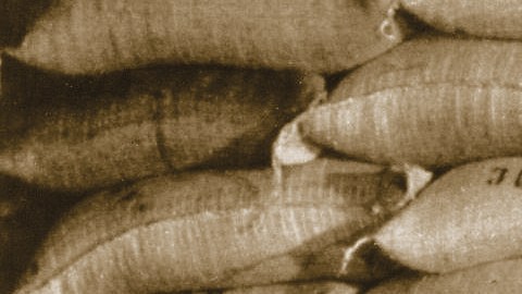 Familia Gaviña