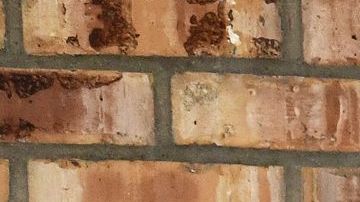 Pobreza en Estados Unidos