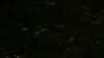 Persona sin hogar en Estados Unidos