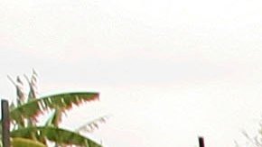 Inmigrantes latinos en Estados Unidos