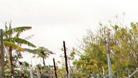 Inmigrantes latinos en Estados Unidos
