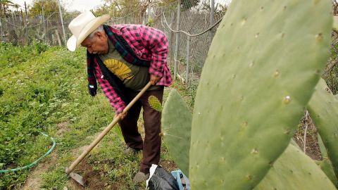 Inmigrantes latinos en Estados Unidos