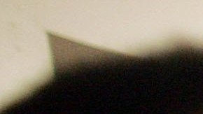 Empleados latinos en Estados Unidos