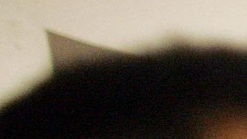 Empleados latinos en Estados Unidos