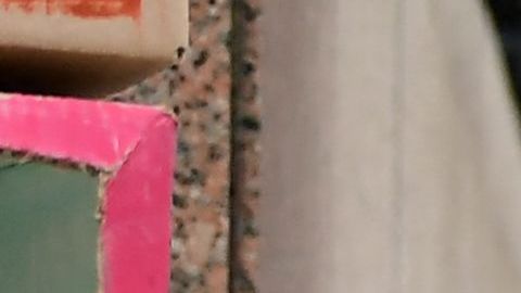 Manifestantes en Los Ángeles quisieran que las protecciones de alquiler se extiendan más allá del 30 de septiembre.