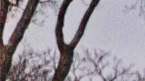 El Servicios Postal de Estados Unidos llevará a cabo un plan de 10 años para reducir costos de operación.