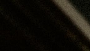 Whole Foods Market, Amazon