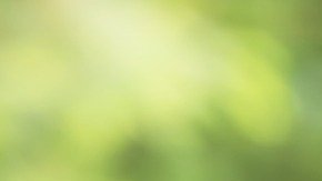 Cuánto vale mi casa