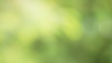 Cuánto vale mi casa