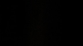 Estafa de Crédito Tributario por Hijos