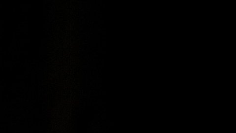 Estafa de Crédito Tributario por Hijos