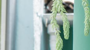 Familia latina en Estados Unidos