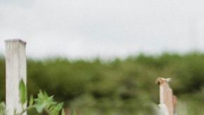 Agricultores
