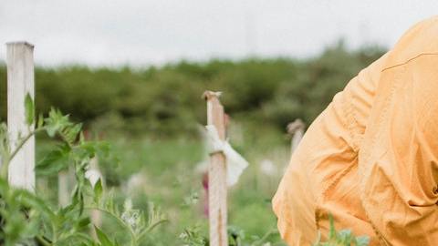 Agricultores