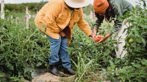 Agricultores