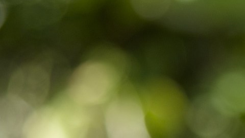 El IRS invita a los contribuyentes jefes de familia y matrimonios a actualizar sus ingresos, si estos sufrieron grandes cambios en el año.