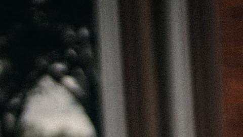 Cada mes escuchamos las nuevas cifras de desempleo, en Solo Dinero te vamos a explicar hasta qué punto te afecta.