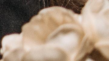 Antes de morir por covid-19 y que tus familiares paguen un costos funeral, ya habrás perdido mucho dinero en vida por no haberte vacunado.