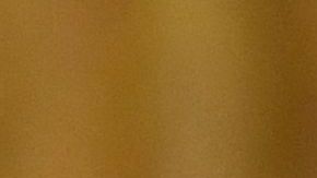 12 estados de Estados Unidos demandan a la administración de Joe Biden por su decreto de obligar la vacunación contra Covid-19 a los contratistas federales.