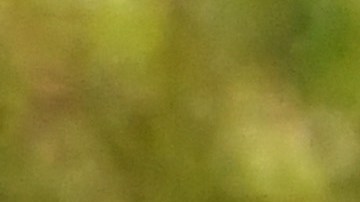 El presidente Joe Biden confía en que su proyecto Build Back Better sea aprobado por el Congreso para la recuperación económica de Estados Unidos.