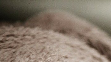 En nueve estados y Washington D.C. los trabajadores pueden disfrutar de los primeros días de su paternidad cuando forman una familia.