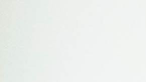 Hay muchas mujeres en Estados Unidos que tuvieron que dejar su empleo por el cuidado de sus hijos.