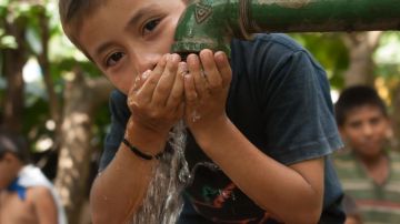Niño latino toma agua