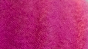 El gobierno de Carolina del Norte creó un programa piloto para dar tarjetas con $25 dólares para vacunados.